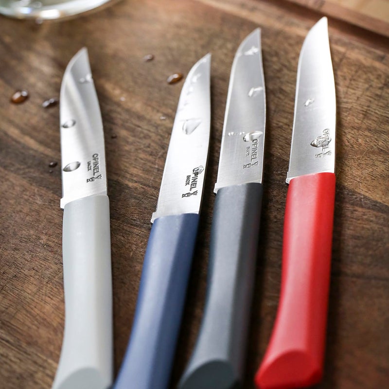 OPINEL Bon Appetit + Table Knives, 4 Piece Set Steak Knives, High Carbon Steel Dinner Knives for Parties, Entertaining, or Everyday Use, Polymer Handles, Dishwasher Safe, Made in France (Primo) - Image 3
